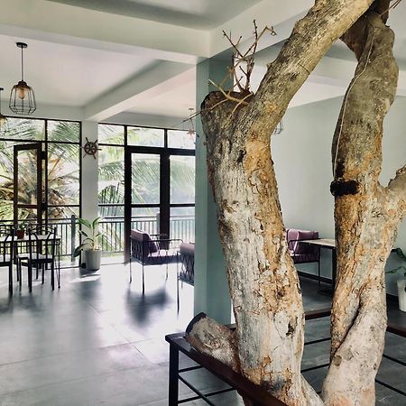Amanzi Residence Kandy Exteriör bild