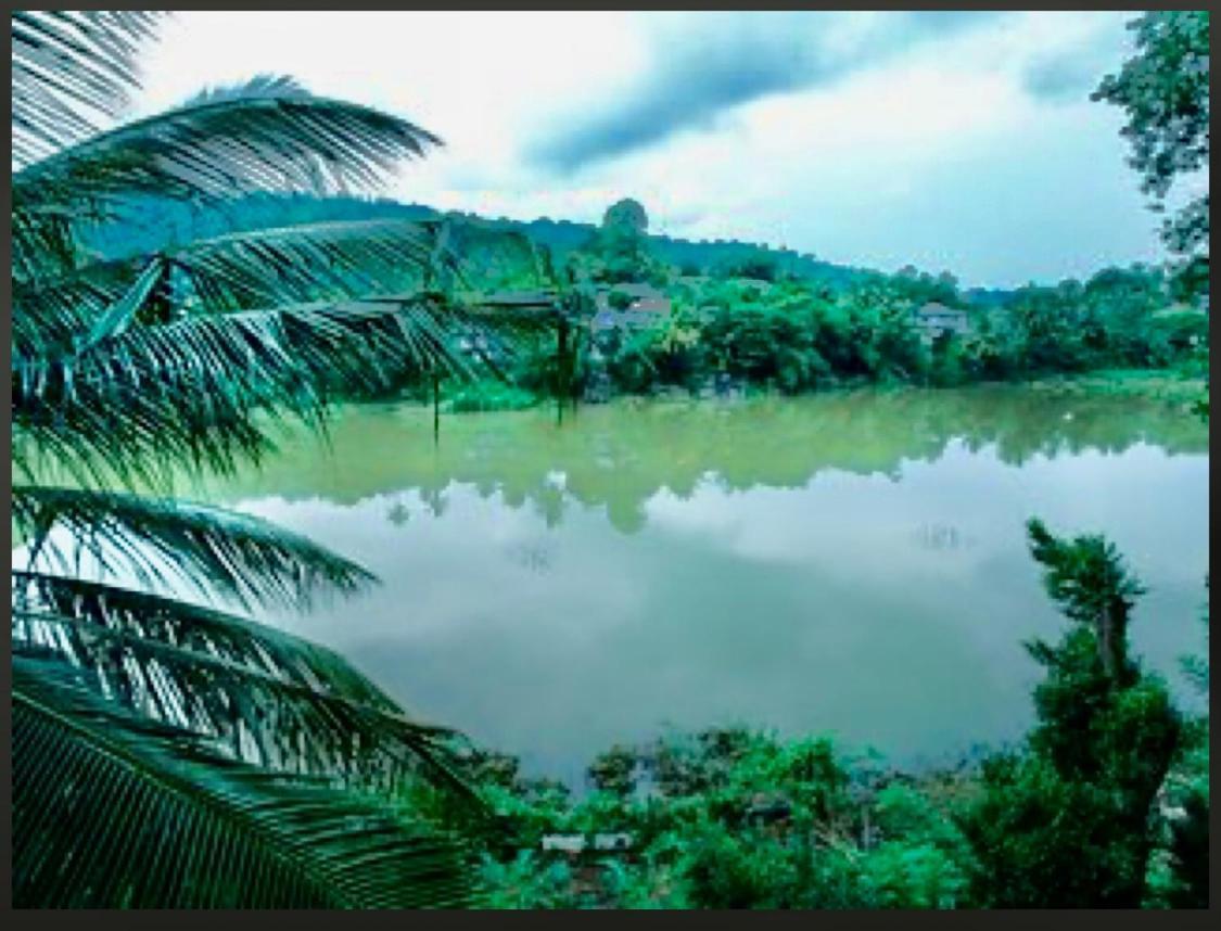 Amanzi Residence Kandy Exteriör bild